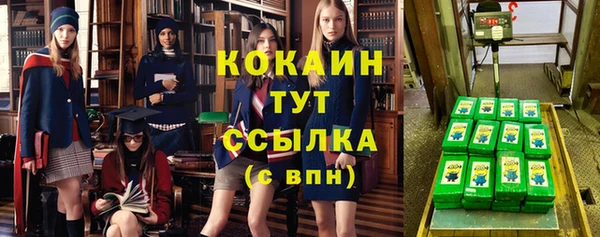 сатива Костерёво