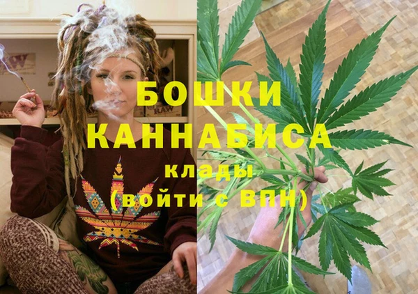 ПСИЛОЦИБИНОВЫЕ ГРИБЫ Коряжма