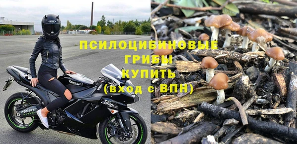 ПСИЛОЦИБИНОВЫЕ ГРИБЫ Коряжма
