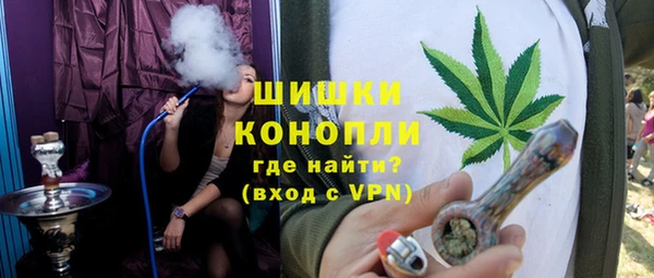 сатива Нижний Тагил