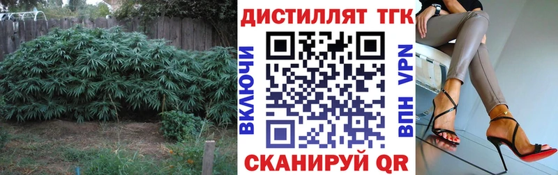 Купить  Пугачёв  ТГК вейп 