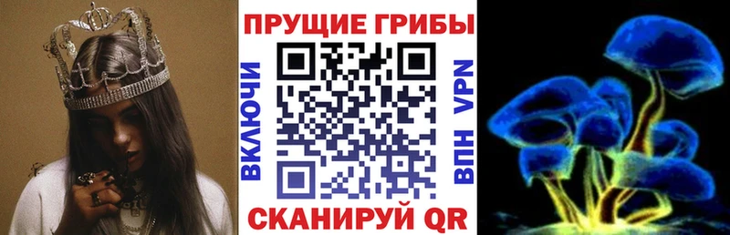 Псилоцибиновые грибы GOLDEN TEACHER  Купить где  Пугачёв 